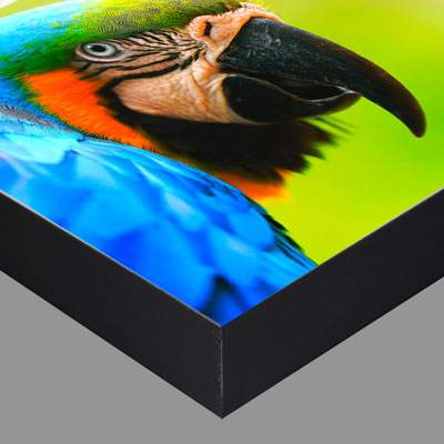 MountingBoards.com