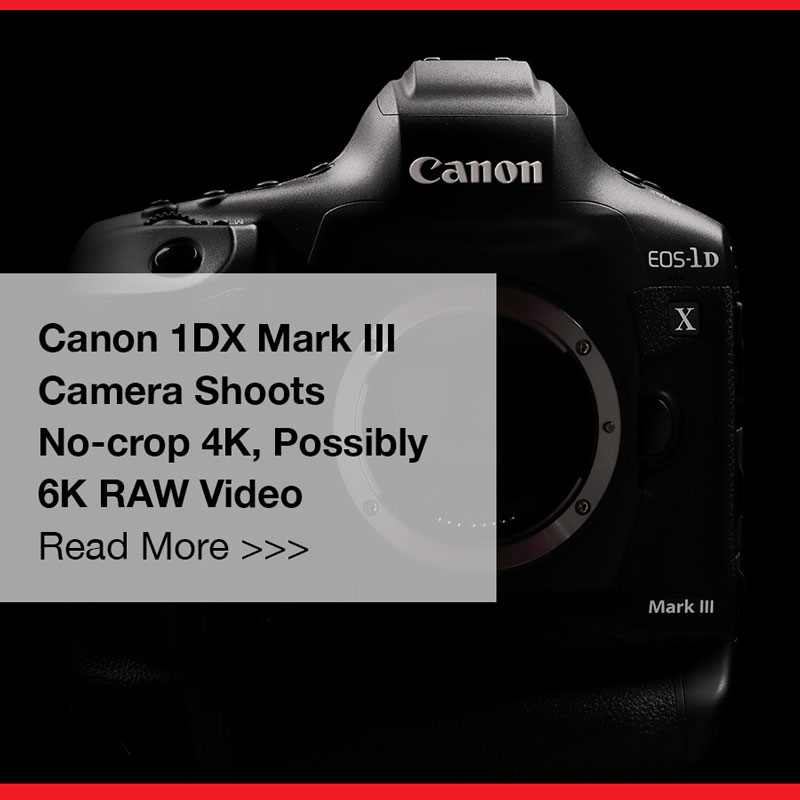 Canon_1_DX_Mark_III_Camera